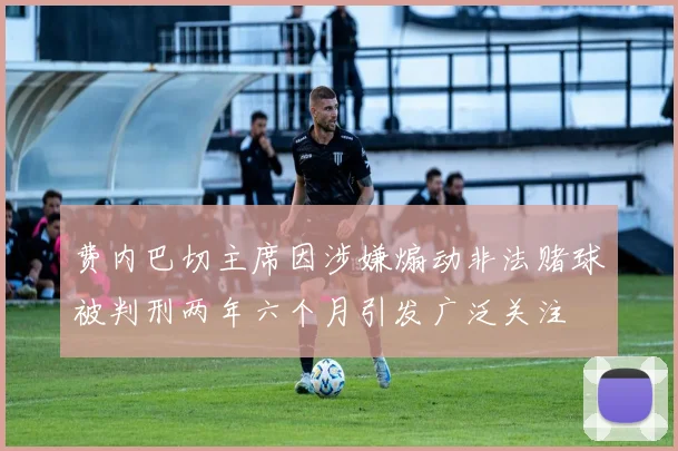 费内巴切主席因涉嫌煽动非法赌球被判刑两年六个月引发广泛关注